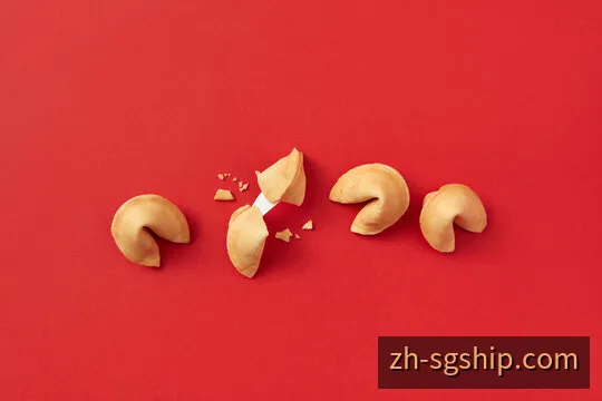 SG飞艇数据分析全景与光学光谱干涉仪模型